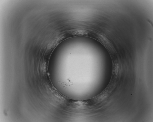 X0000103310326200809051550