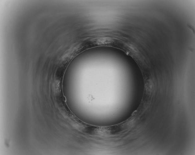 X0000103310327200809051550