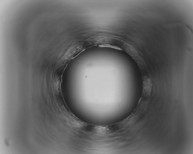 X0000103310333200809051550