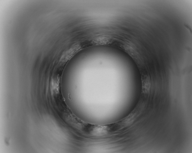 X0000103310334200809051550