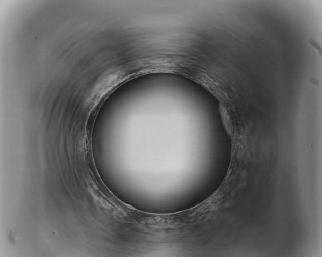 X0000103310338200809051549