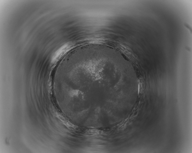 X0000103310339200809051549