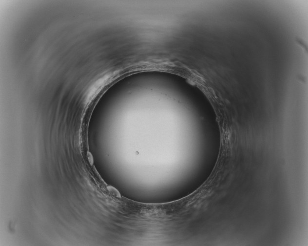 X0000103310340200809051550