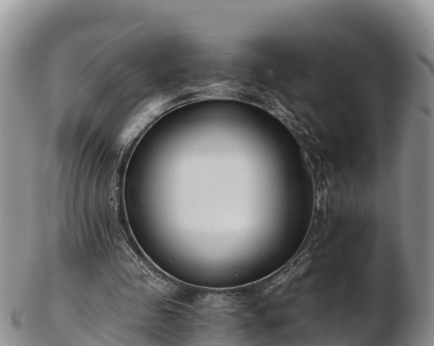 X0000103310341200809051550