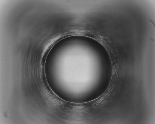 X0000103310342200809051550