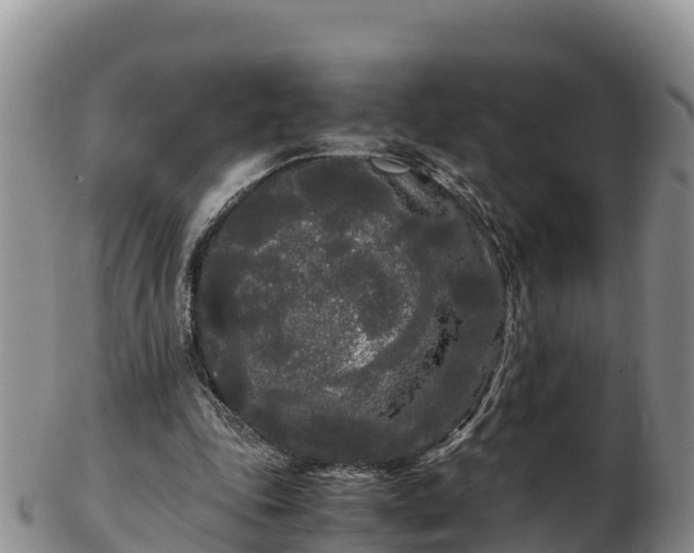 X0000103310343200809051550