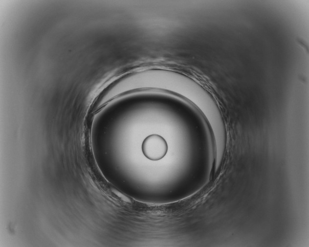 X0000103310344200809051550