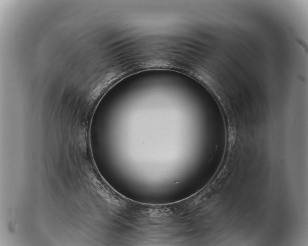 X0000103310345200809051550