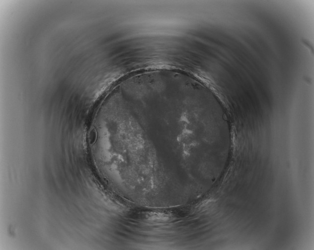 X0000103310347200809051550