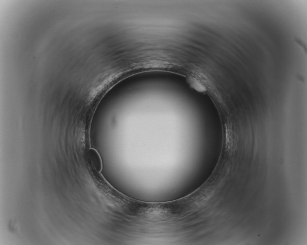 X0000103310348200809051550