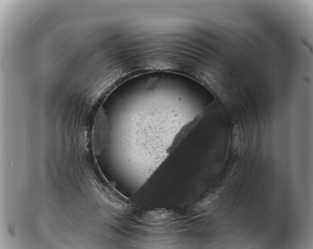 X0000103310351200809051550