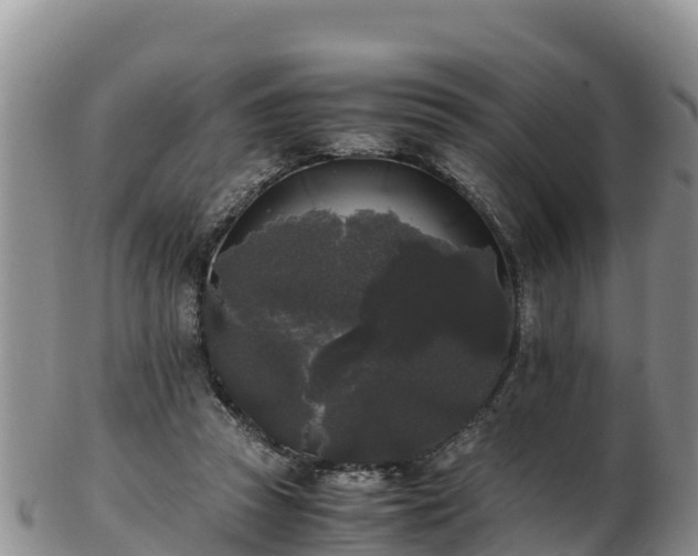 X0000103310353200809051550