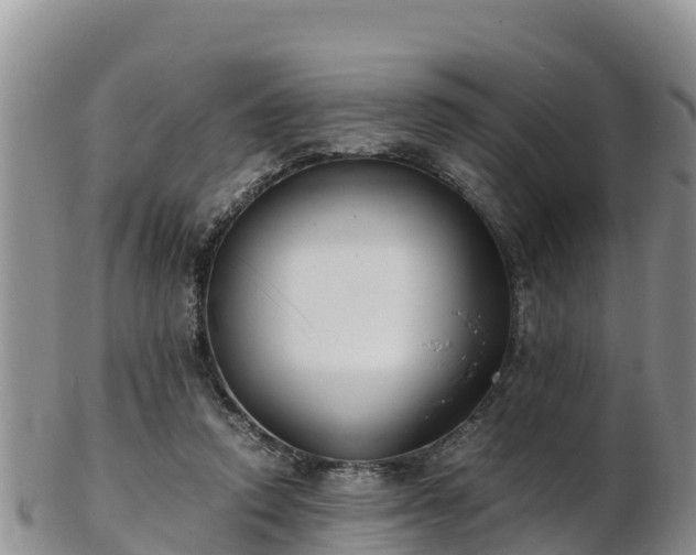 X0000103310354200809051550