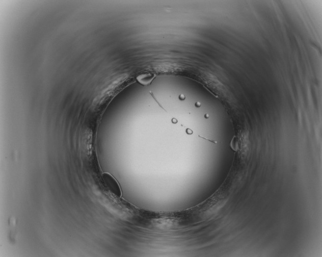 X0000103310356200809051550