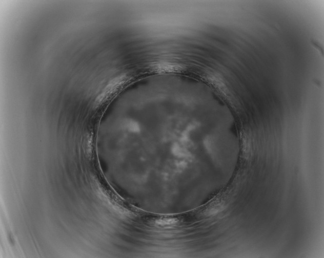 X0000103310357200809051550