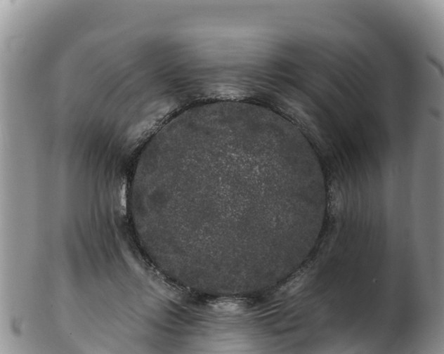 X0000103310358200809051550