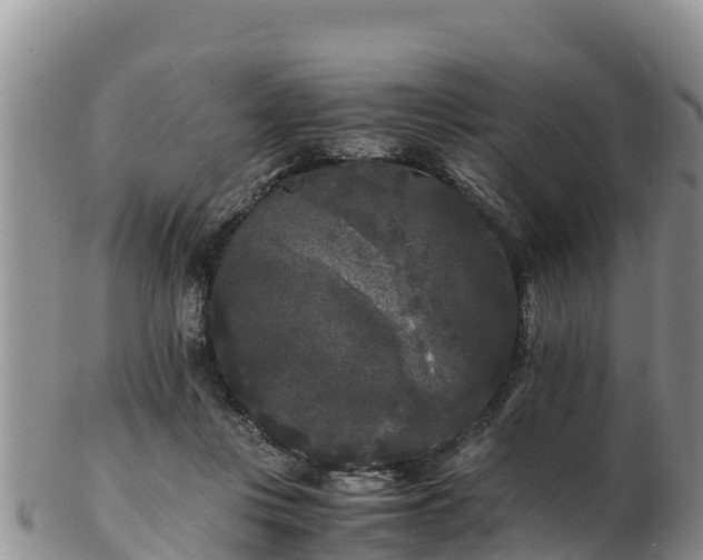 X0000103310359200809051550