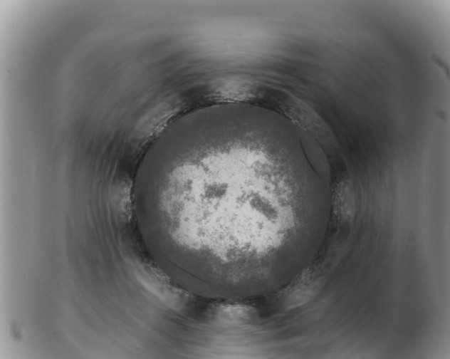 X0000103310360200809051550