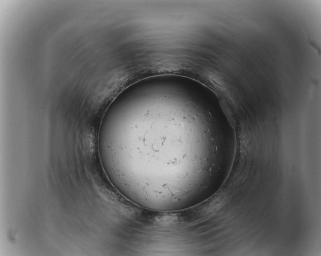 X0000103310362200809051550