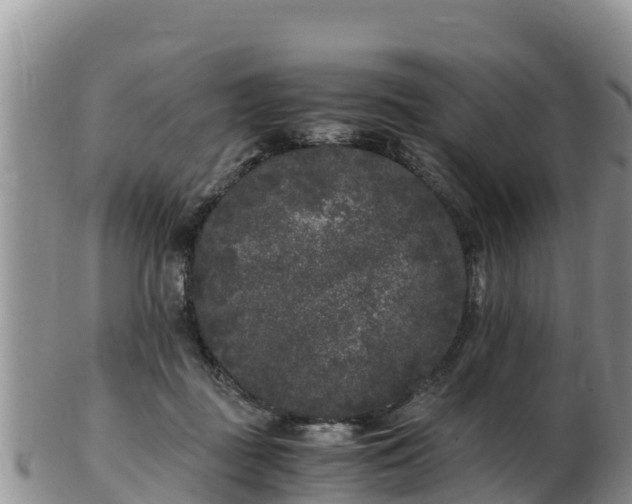X0000103310363200809051550
