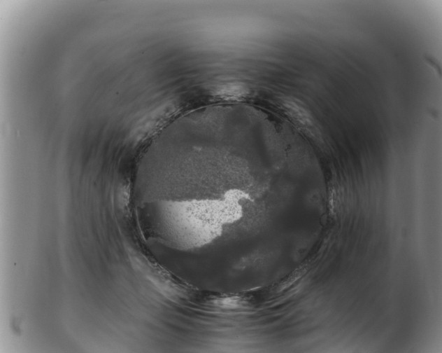X0000103310365200809051550