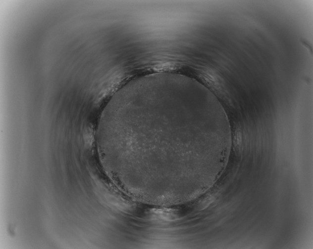 X0000103310367200809051550
