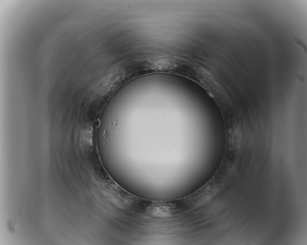 X0000103310368200809051550