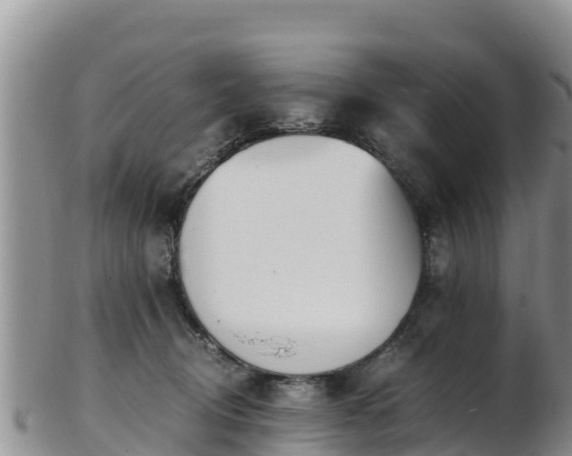 X0000103310370200809051550