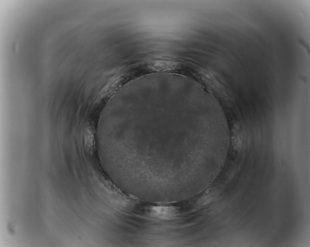 X0000103310371200809051550