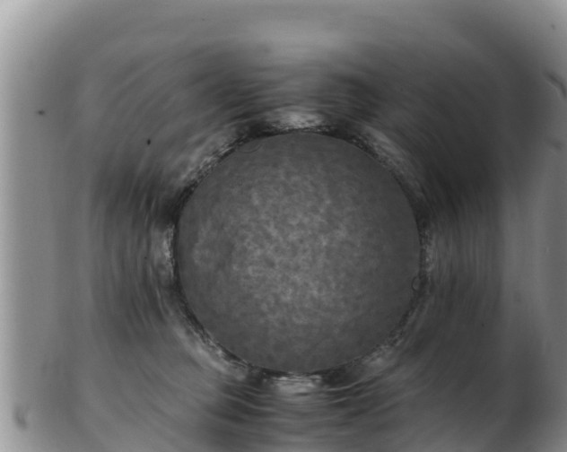 X0000103310373200809051550