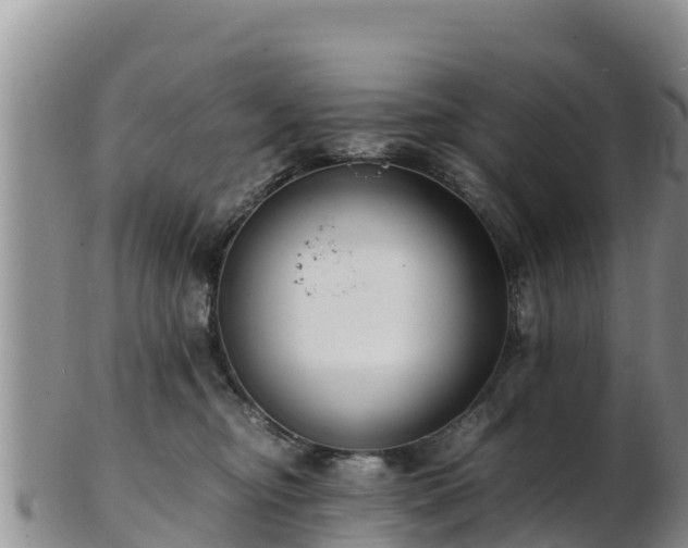 X0000103310374200809051550