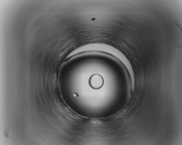 X0000103310376200809051550