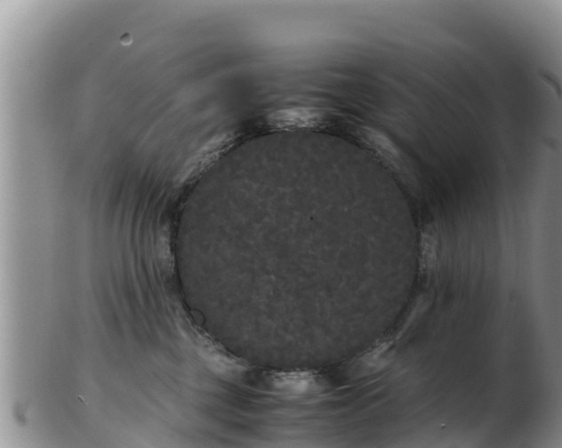 X0000103310377200809051550