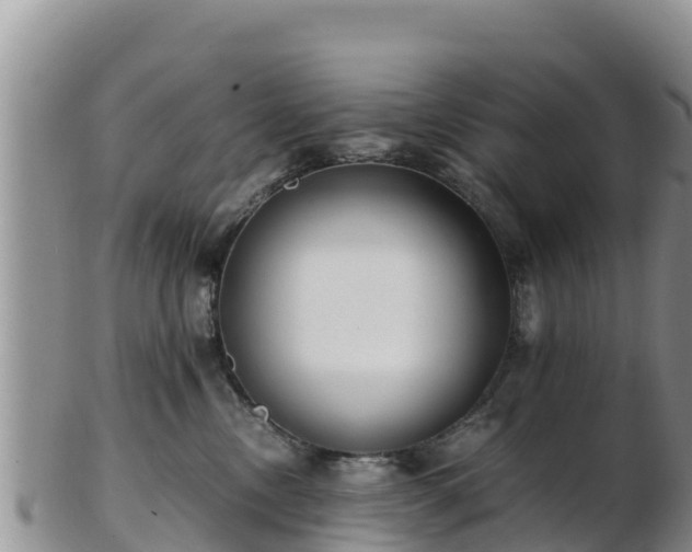 X0000103310378200809051550