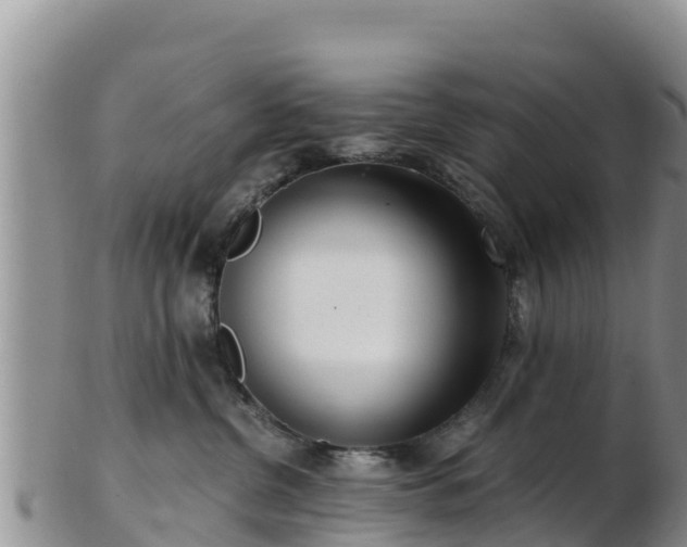 X0000103310380200809051550