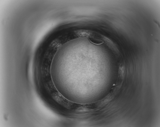 X0000103310381200809051550