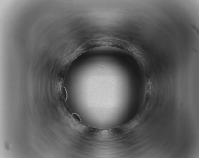 X0000103310382200809051550