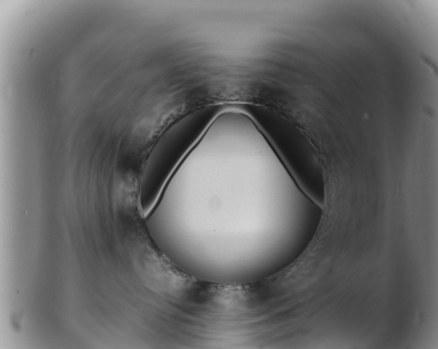 X0000103310384200809051550