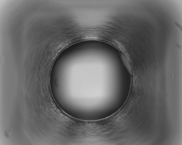 X0000103310385200809051549