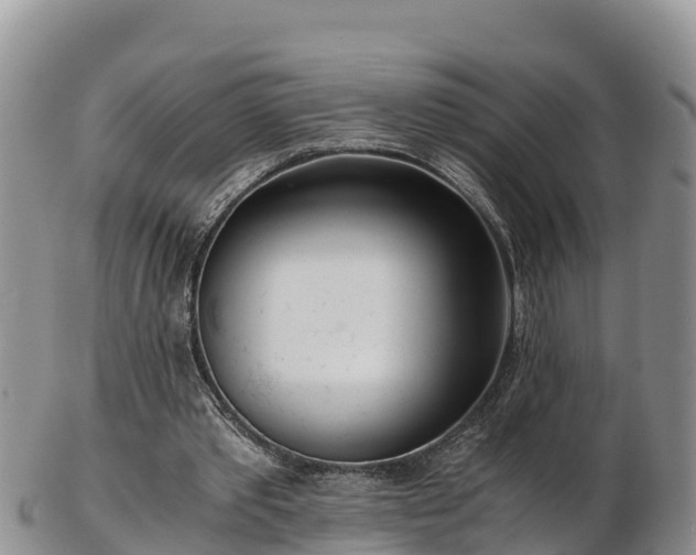 X0000103310389200809051549