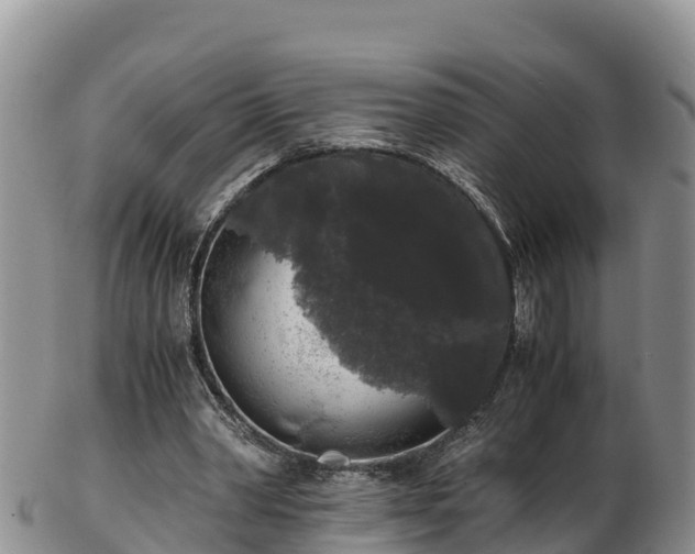 X0000103310390200809051549