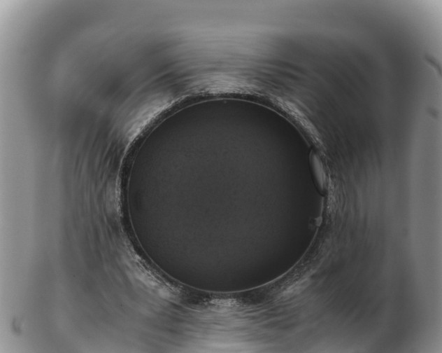 X0000103310391200809051549
