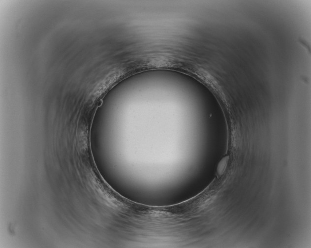 X0000103310393200809051549