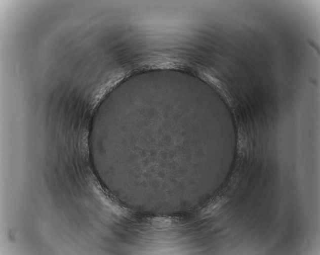 X0000103310394200809051549