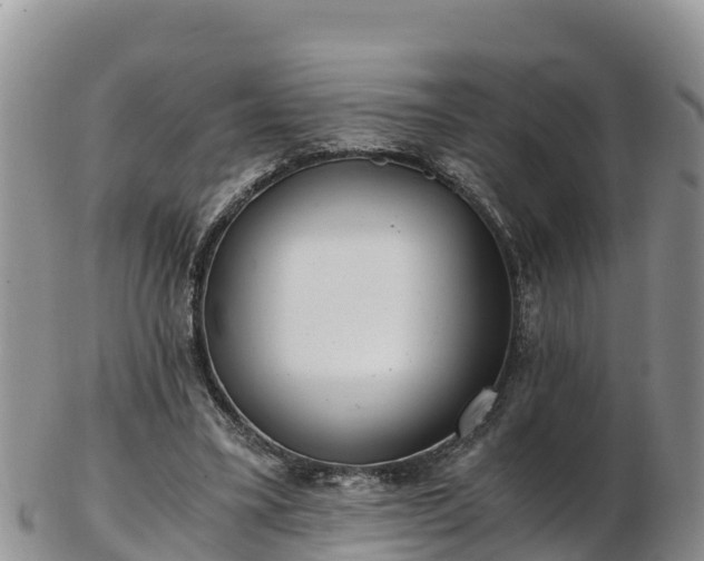 X0000103310395200809051549