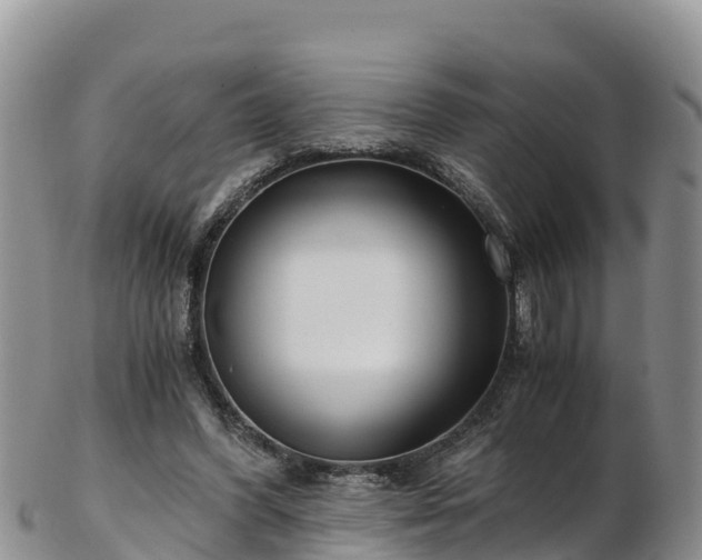 X0000103310396200809051549