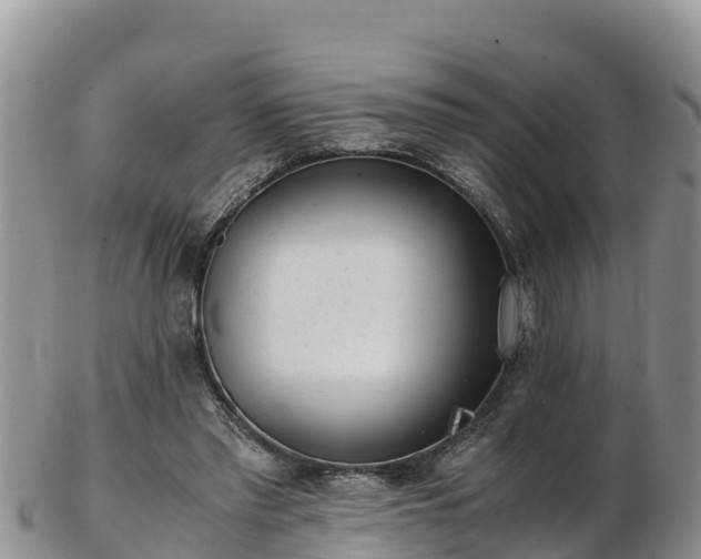 X0000103310397200809051549
