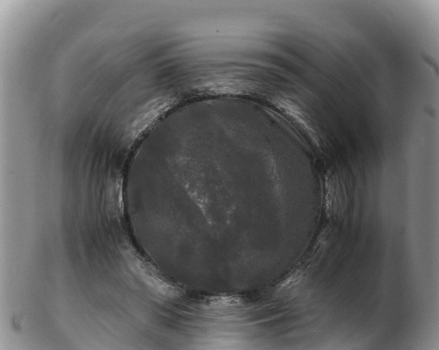 X0000103310398200809051549