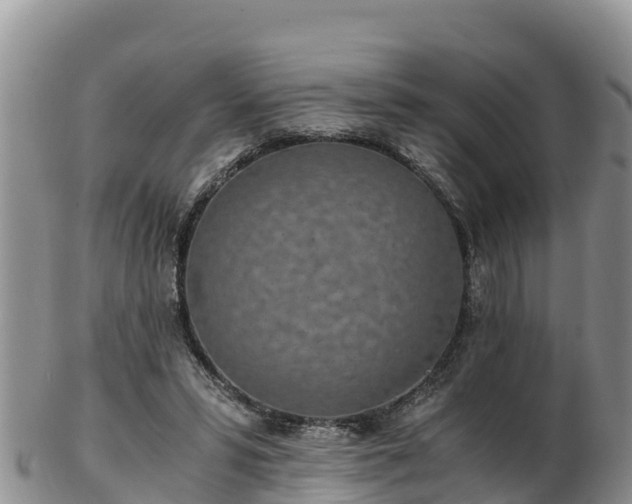 X0000103310399200809051549