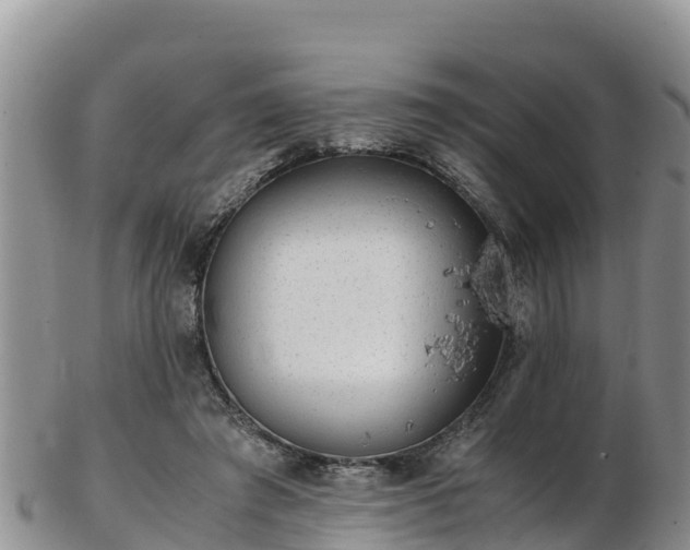 X0000103310401200809051549